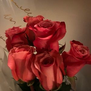 Meet your Posher, Karen